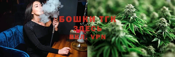 гидра Кодинск