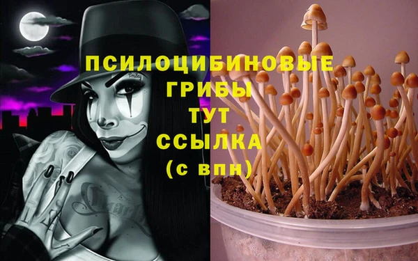 винт Остров