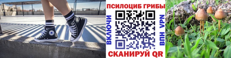 купить   Балашов  Галлюциногенные грибы Magic Shrooms 