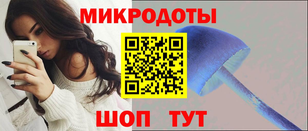Псилоцибиновые грибы Psilocybine cubensis Балашов